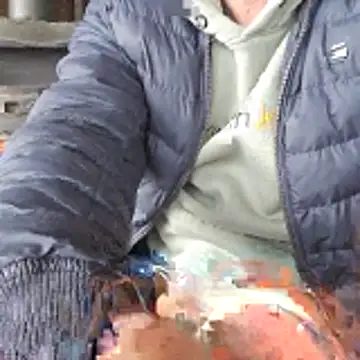 Lumpi1988A online show from 19, 2, 2026