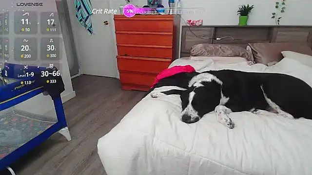 Kittyymaze1 online show from 2, 3, 2025