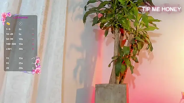 juanmiss online show from 3, 2, 2025