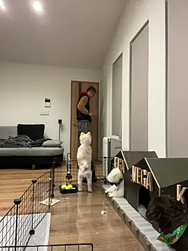 kensnb online show from 8, 1, 2025