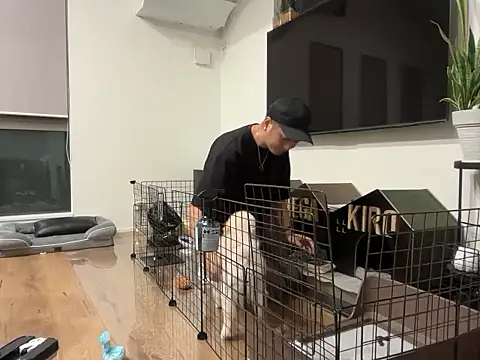 kensnb online show from 8, 10, 2025