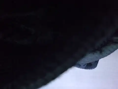 Snapshot of exmilitary chatting on 15, 2, 2026 exmilitary online show from 15, 2, 2026