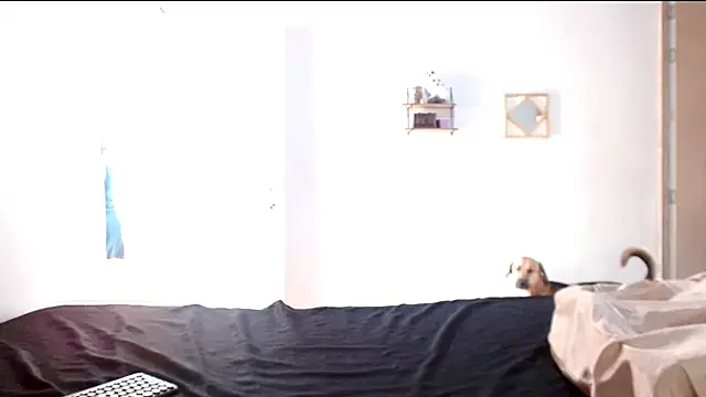 cherrydelioncourt online show from 7, 4, 2026