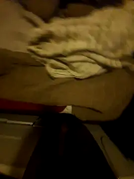 the666D online show from 29, 3, 2026