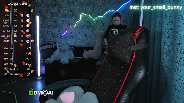 Your small bunny online show from 8, 11, 2025