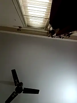 Snapshot of blr_boi chatting on 3, 12, 2025 blr boi online show from 3, 12, 2025