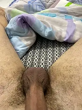 Snapshot of dzpoweralg chatting on 13, 2, 2025 dzpoweralg online show from 13, 2, 2025