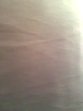 Miss oliviaa online show from 13, 11, 2025