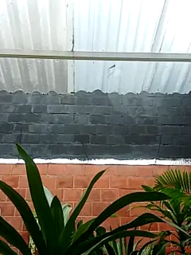 luchoarr online show from 14, 11, 2025