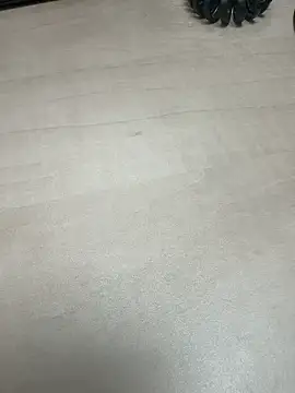 private girl online show from 3, 12, 2025