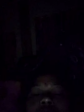 Bangarupapa online show from 26, 2, 2026