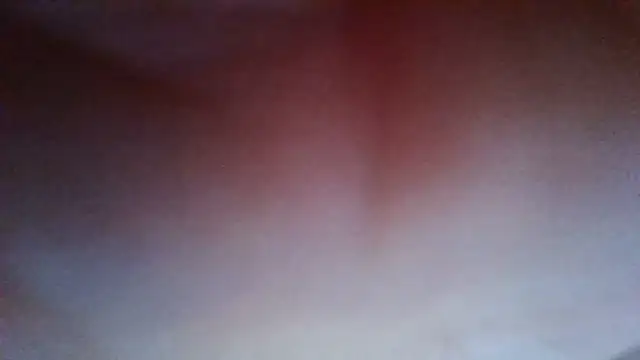 Snapshot of Evasapples chatting on 20, 7, 2026 Evasapples online show from 20, 7, 2026