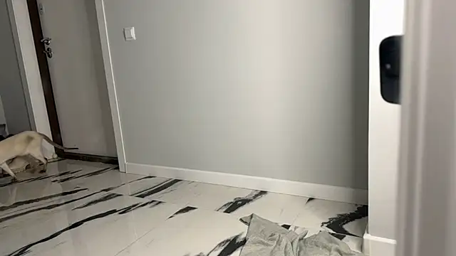 elisa moon online show from 23, 12, 2024