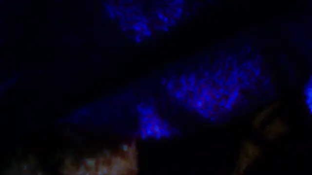 Snapshot of penesillo79 chatting on 18, 12, 2025 penesillo79 online show from 18, 12, 2025