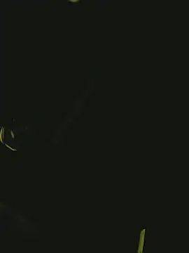 Pressure69mee online show from 2, 3, 2025