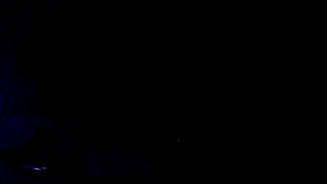 Youcunn online show from 15, 4, 2026