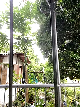 Jestebanano online show from 18, 10, 2025