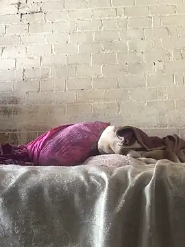 Sweet   Dick online show from 30, 1, 2025