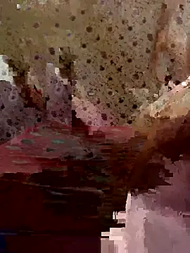 ahross online show from 26, 3, 2026