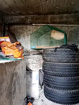 Snapshot of Elvishcassie_ chatting on 1, 10, 2025 Elvishcassie  online show from 1, 10, 2025