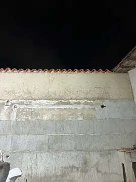 Leo bunny hot online show from 10, 1, 2026