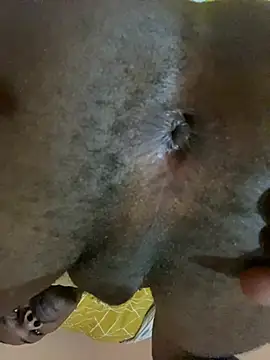 skyfall200 online show from 20, 12, 2024