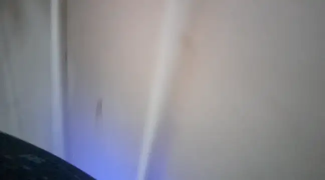 elcobin online show from 16, 3, 2025