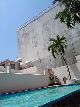 elcobin online show from 20, 3, 2025