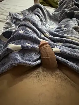 hamed-697 online show from 1, 2, 2026