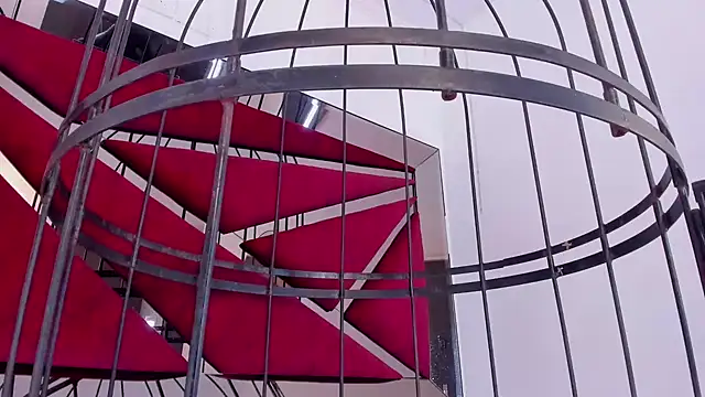 GiaFu online show from 25, 1, 2025