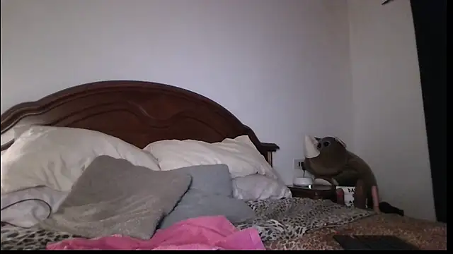 KarolinaReaper online show from 13, 4, 2026