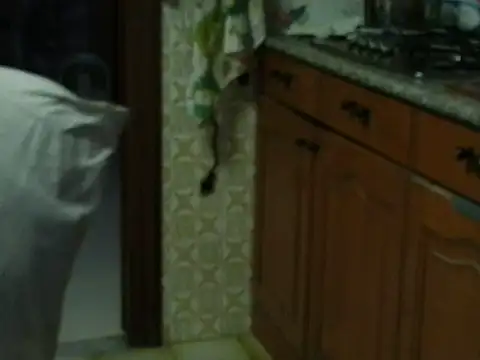 VeneRed online show from 27, 10, 2025