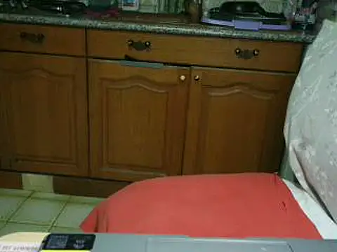 Snapshot of VeneRed chatting on 1, 2, 2026 VeneRed online show from 1, 2, 2026