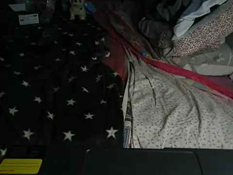 Snapshot of VeneRed chatting on 27, 2, 2026 VeneRed online show from 27, 2, 2026