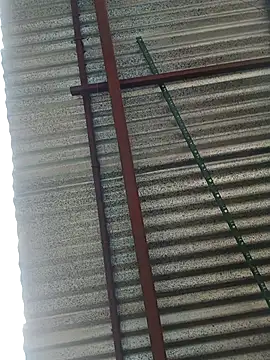 elputoflaco online show from 9, 1, 2026