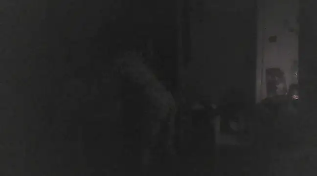 Snapshot of Just_Gabriella chatting on 17, 3, 2025 Just Gabriella online show from 17, 3, 2025