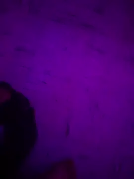 Snapshot of Argento14 chatting on 3, 11, 2025 Argento14 online show from 3, 11, 2025