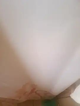 403notfound online show from 3, 11, 2025