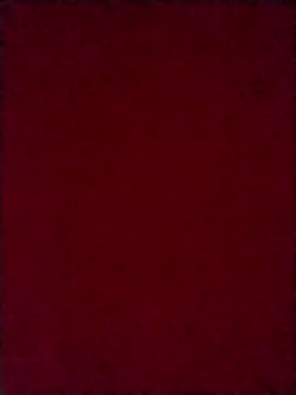 Snapshot of Luci_foxx chatting on 8, 10, 2025 Luci foxx online show from 8, 10, 2025