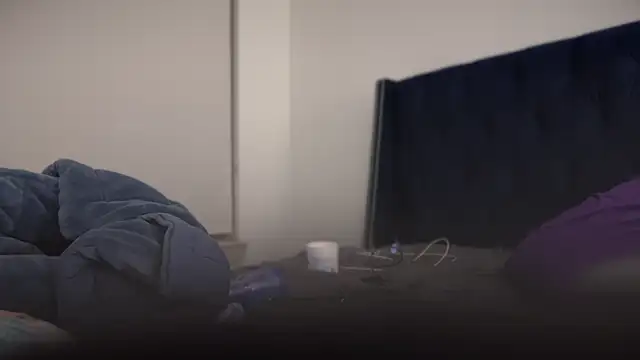 Snapshot of bearcloudcomputa chatting on 29, 1, 2025 bearcloudcomputa online show from 29, 1, 2025