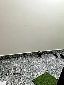 Saroj-Shah online show from 3, 2, 2026