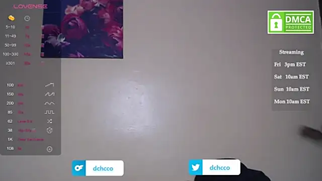 Snapshot of dchcco chatting on 7, 11, 2025 dchcco online show from 7, 11, 2025