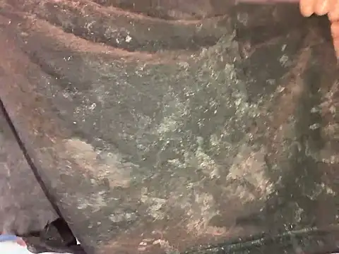 barenlund456 online show from 19, 4, 2026