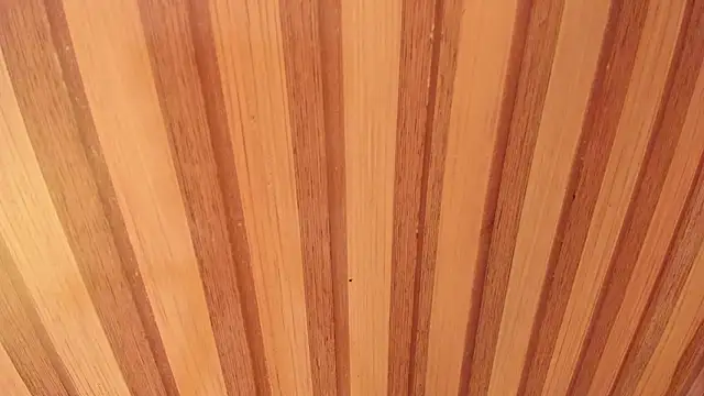 Taylor  cooper online show from 12, 2, 2026