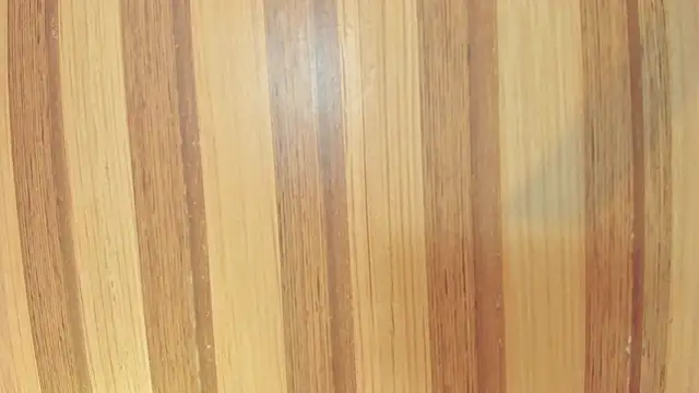 Taylor  cooper online show from 23, 2, 2026