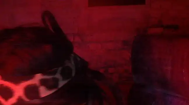 Snapshot of iva_spirit chatting on 9, 2, 2025 iva spirit online show from 9, 2, 2025