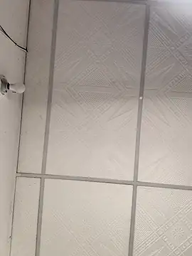 Amaliu  online show from 1, 3, 2025