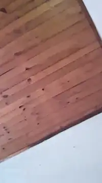 Snapshot of DANIELA_MICHEL chatting on 19, 1, 2025 DANIELA MICHEL online show from 19, 1, 2025