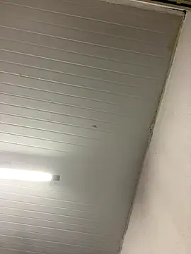 luara1988 online show from 5, 1, 2026