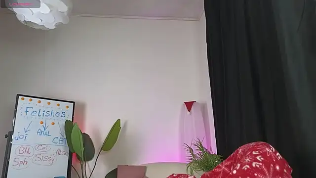 dragon ink online show from 14, 1, 2026